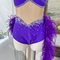 Handmade Purple Lyrical Dance Costume | Butterfly Bodice, Feather Skirt
