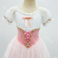 Stretch Velvet Bodice with Flowing Pink Skirt | Handmade Romantic Ballet Costume for Coppelia & Giselle