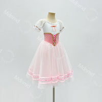 Stretch Velvet Bodice with Flowing Pink Skirt | Handmade Romantic Ballet Costume for Coppelia & Giselle