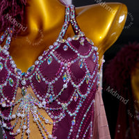 Burgundy Latin Dress with Crystals & Feathers | Handmade Competition Costume | Custom Latin Salsa Cha-Cha Outfit