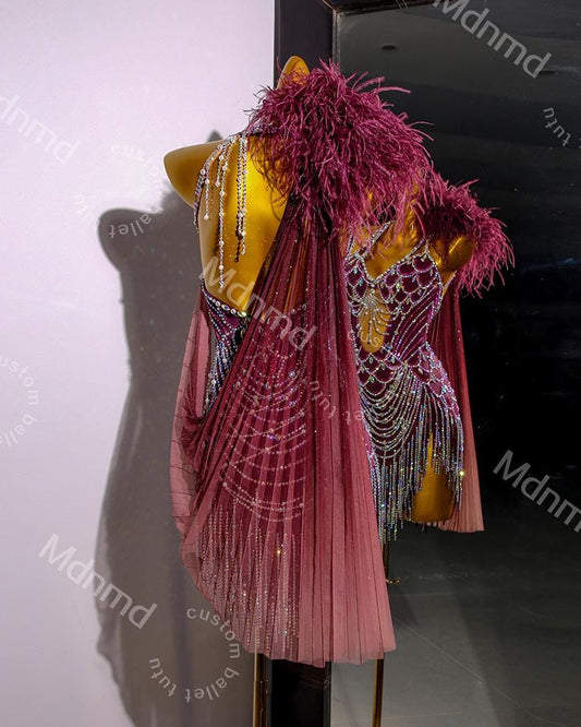 Burgundy Latin Dress with Crystals & Feathers | Handmade Competition Costume | Custom Latin Salsa Cha-Cha Outfit