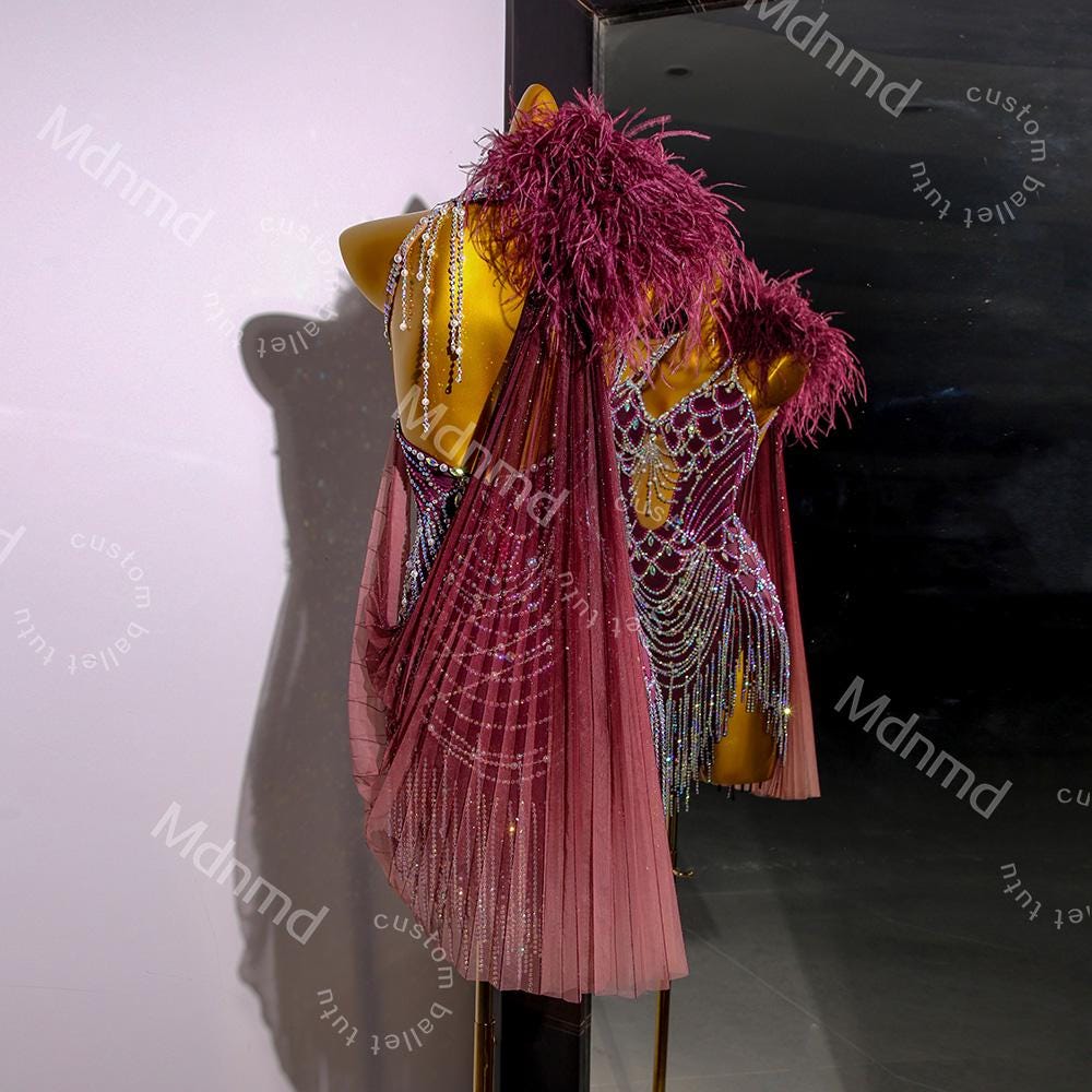 Burgundy Latin Dress with Crystals & Feathers | Handmade Competition Costume | Custom Latin Salsa Cha-Cha Outfit