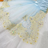 Handmade Custom Blue & White Tutu | for Sleeping Beauty, Cinderella, or Fairy Tale Ballets