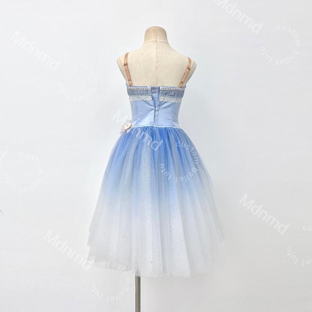Custom Romantic Ballet Tutu Dress | Blue Ballet Performance Costume