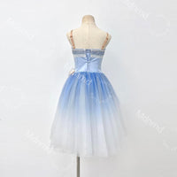 Custom Romantic Ballet Tutu Dress | Blue Ballet Performance Costume