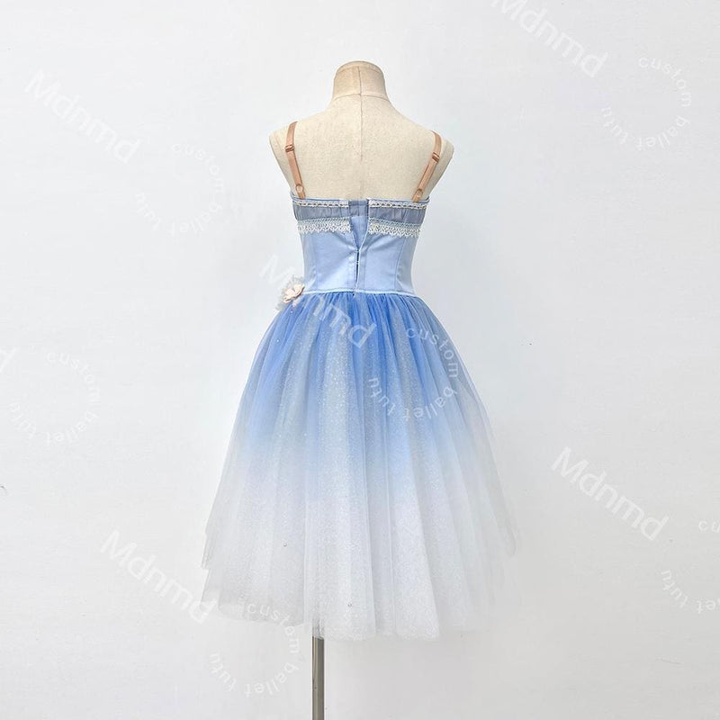 Custom Romantic Ballet Tutu Dress | Blue Ballet Performance Costume