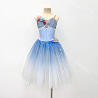 Custom Romantic Ballet Tutu Dress | Blue Ballet Performance Costume