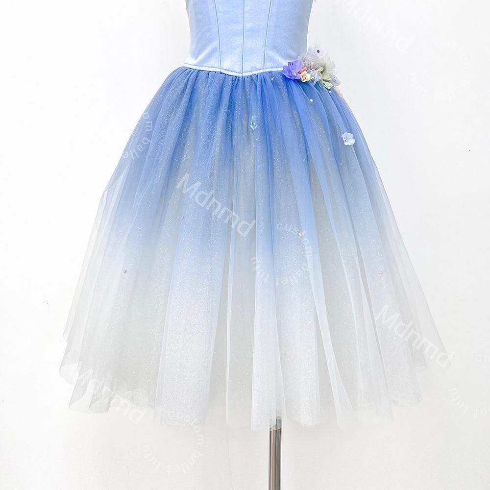 Custom Romantic Ballet Tutu Dress | Blue Ballet Performance Costume