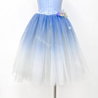 Custom Romantic Ballet Tutu Dress | Blue Ballet Performance Costume
