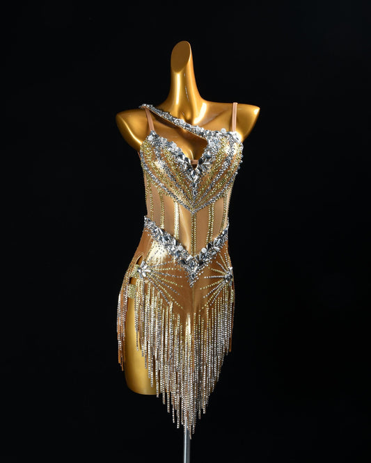 Custom Latin Competition Dress | Crystal Fringe Dance Costume