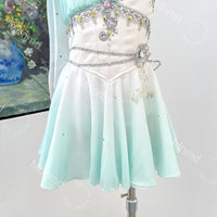 Cupid Ballet Costume | Amour Variation Lyrical Dance Dress | One Shoulder Ballet Outfit | Custom Made