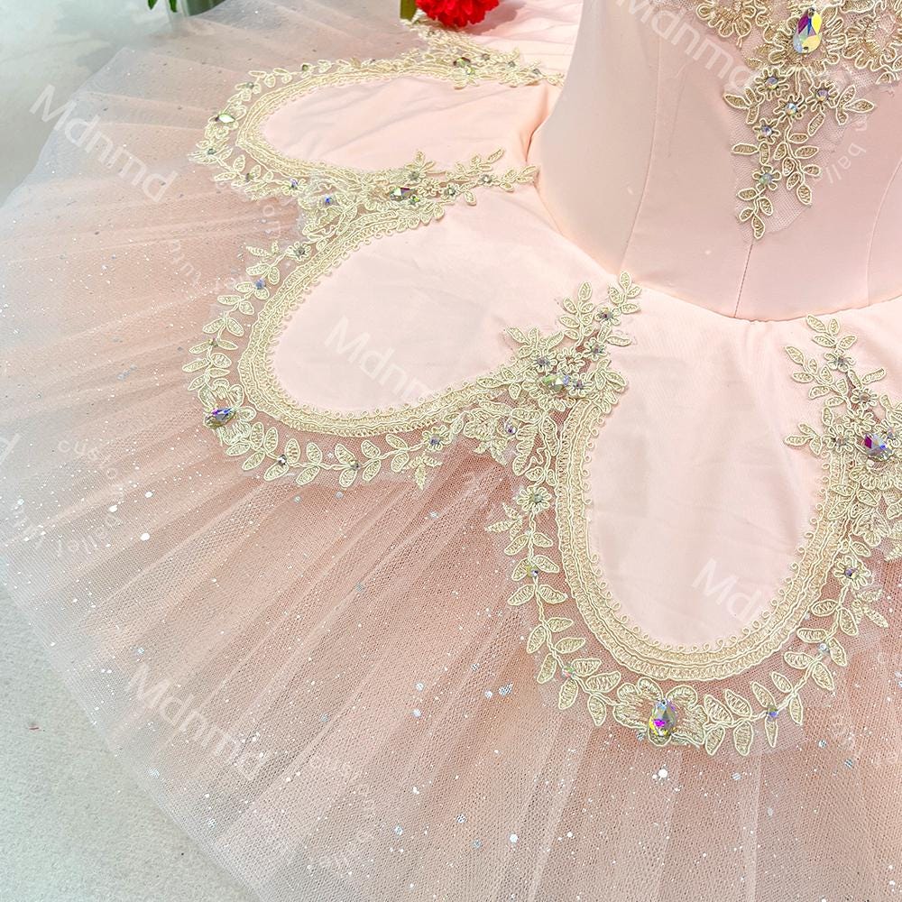 Pink Professional Beauty Fairy Tutu | Gold Embroidery Classical Costume | Custom Ballet Dress