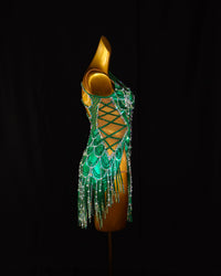 Emerald Crystal Scallop Latin Dance Dress