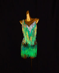 Green Iridescent Fringe Latin Dance Dress