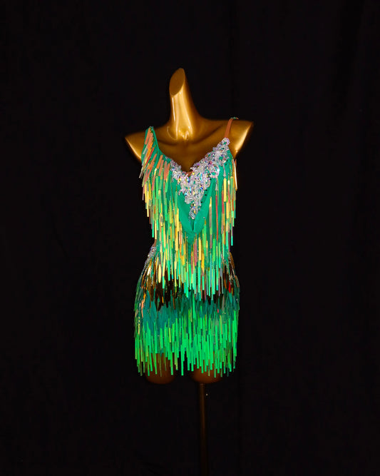 Green Iridescent Fringe Latin Dance Dress