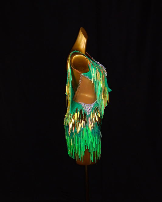 Green Iridescent Fringe Latin Dance Dress
