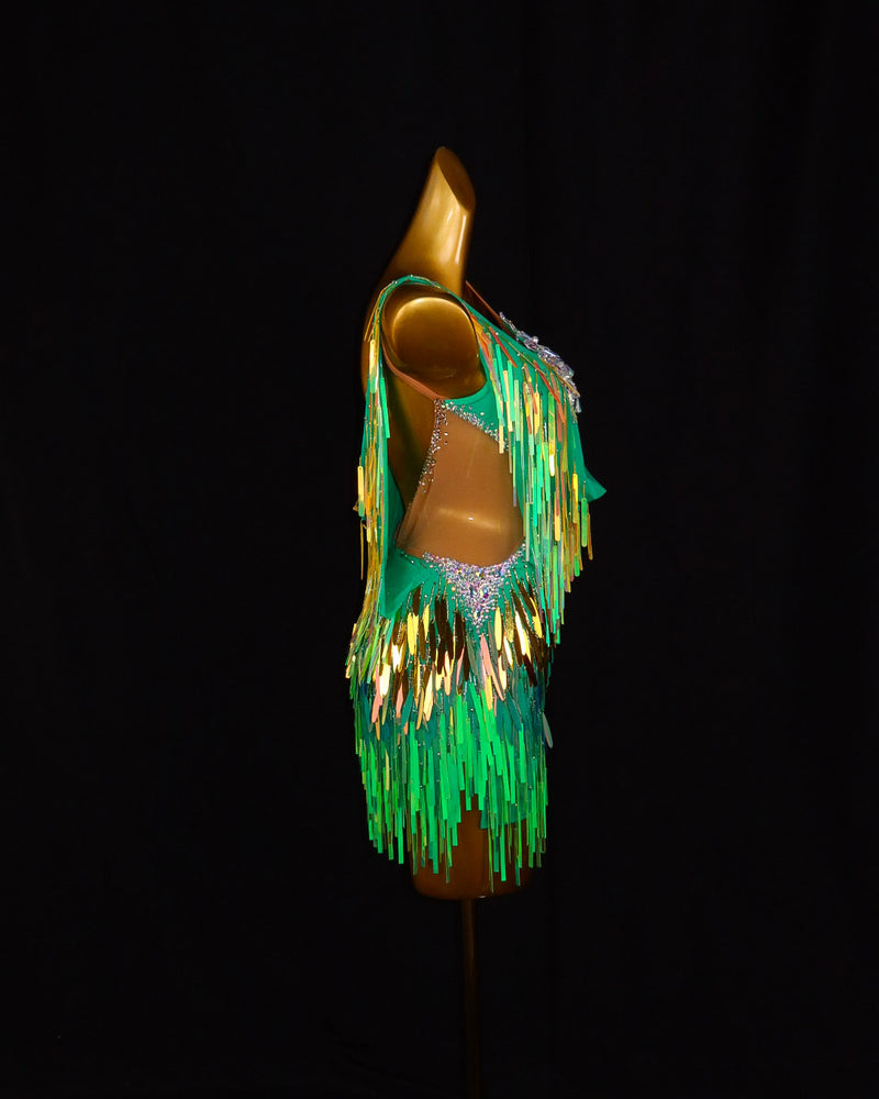 Green Iridescent Fringe Latin Dance Dress