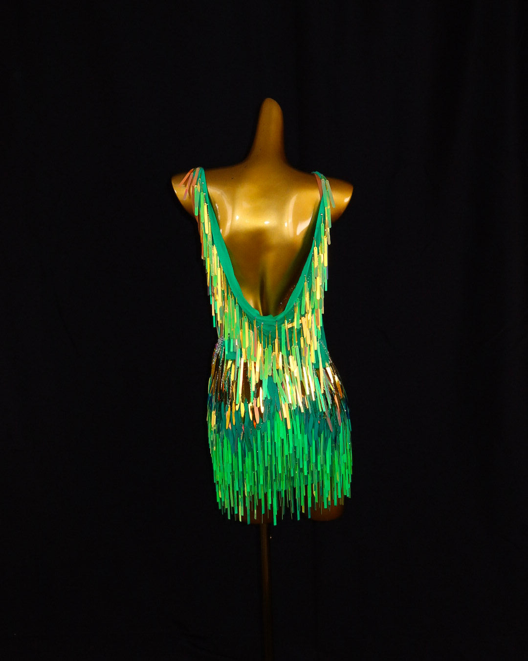 Green Iridescent Fringe Latin Dance Dress