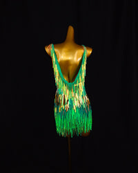 Green Iridescent Fringe Latin Dance Dress