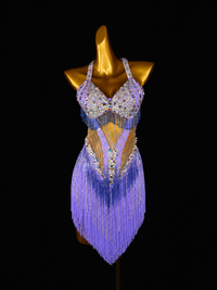Lilac Crystal Fringe Latin Dance Dress