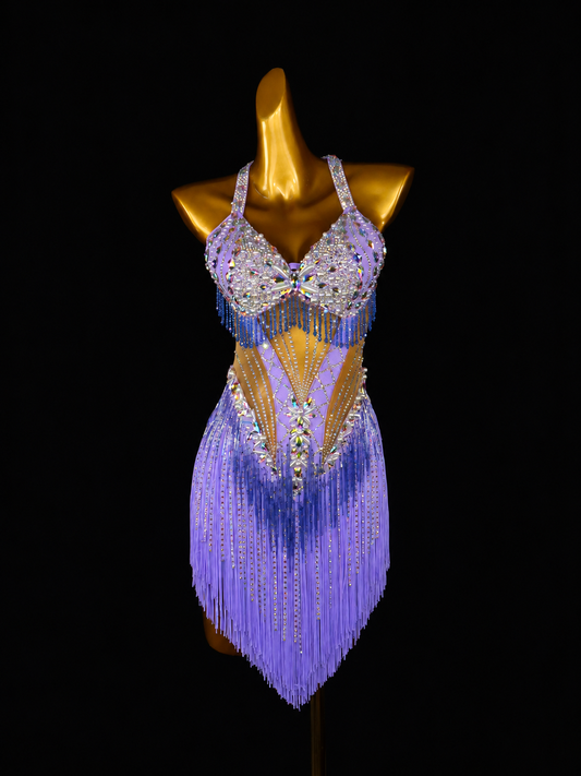 Lilac Crystal Fringe Latin Dance Dress
