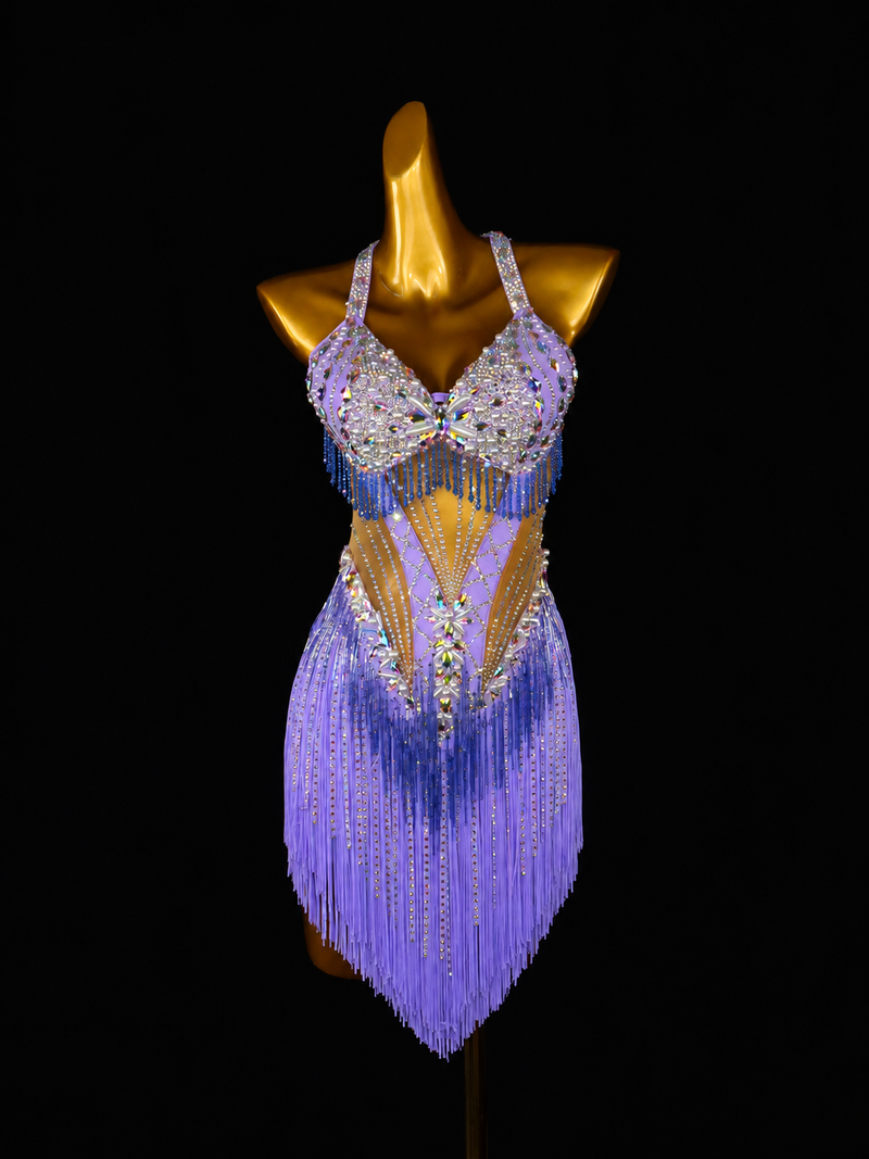 Lilac Crystal Fringe Latin Dance Dress