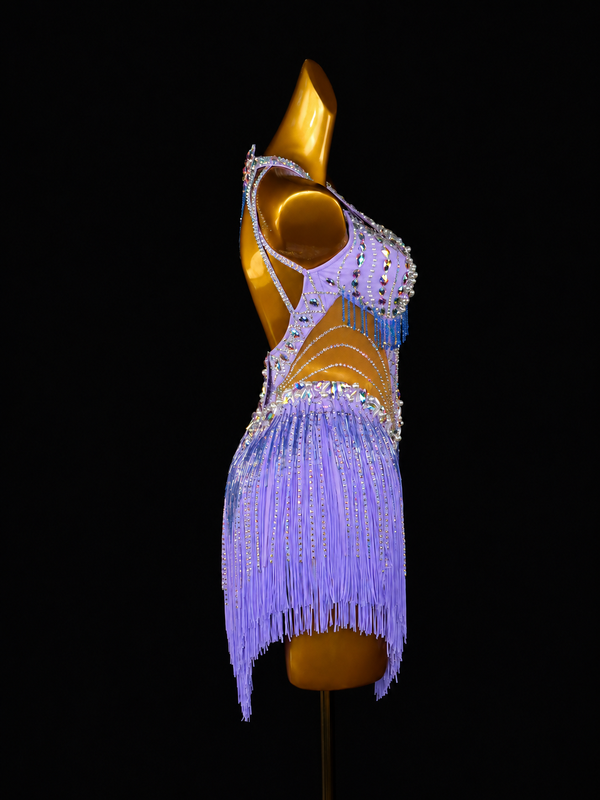 Lilac Crystal Fringe Latin Dance Dress