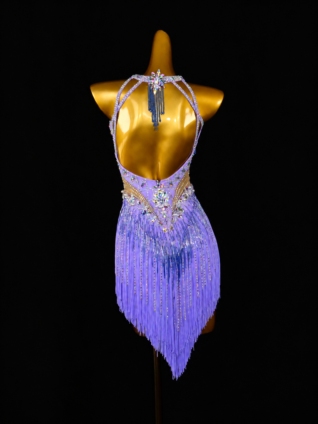 Lilac Crystal Fringe Latin Dance Dress