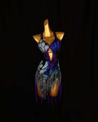 Violet Peacock Crystal Latin Dance Dress