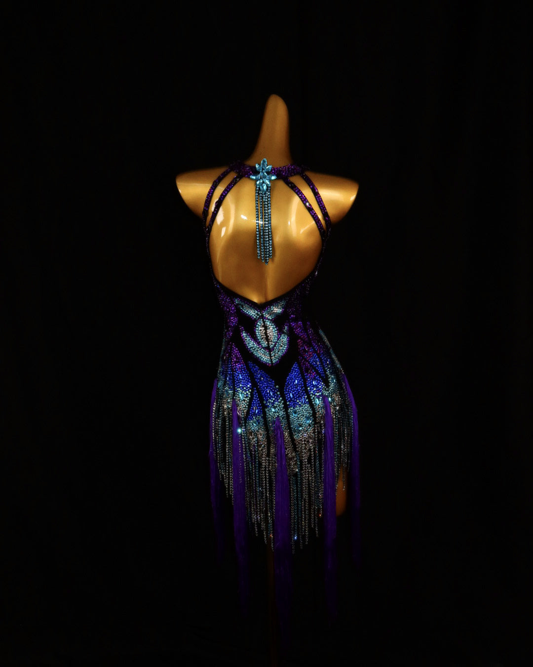 Violet Peacock Crystal Latin Dance Dress