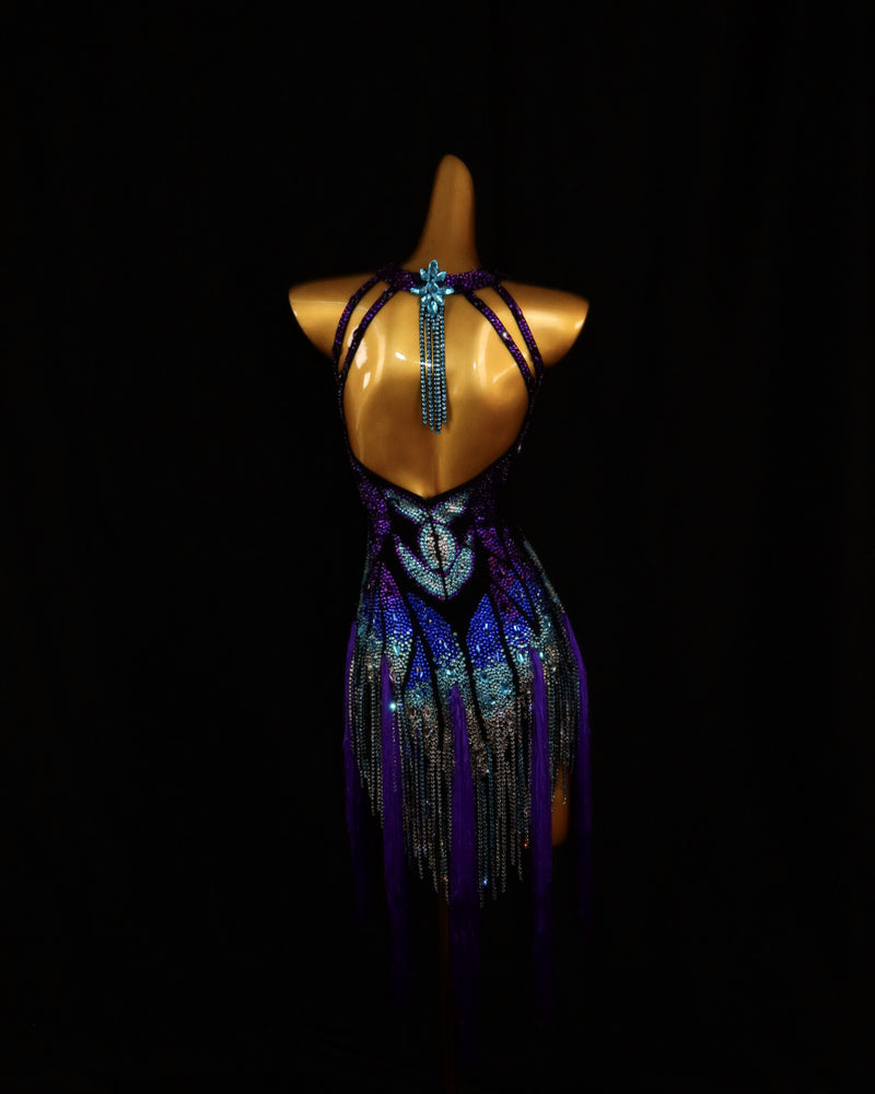 Violet Peacock Crystal Latin Dance Dress